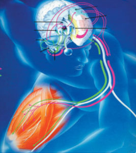 Antos orienté solution